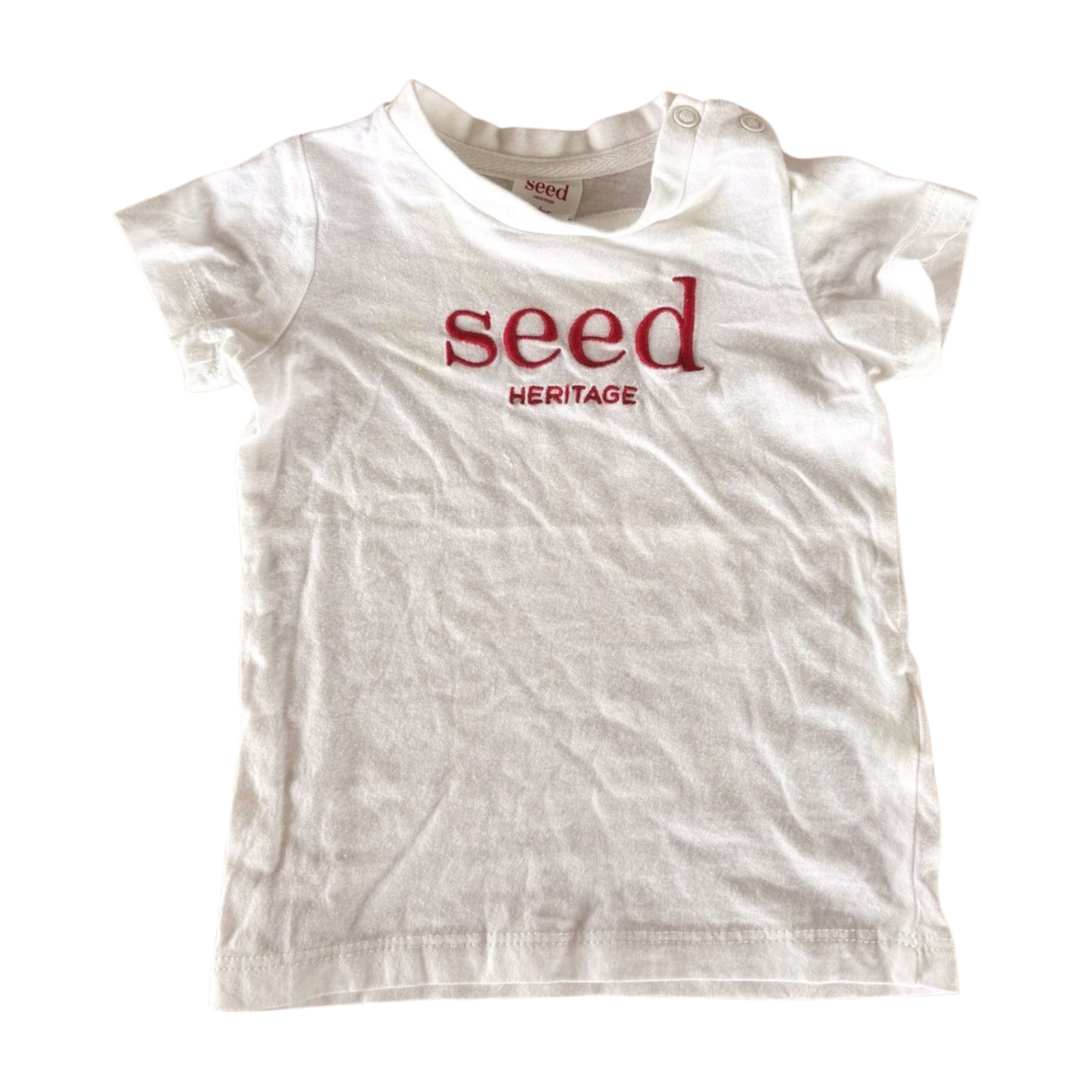 Seed